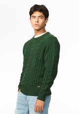 Wicap Men's Cable Knit Crew Neck Sweater, Dark Green - BM24913