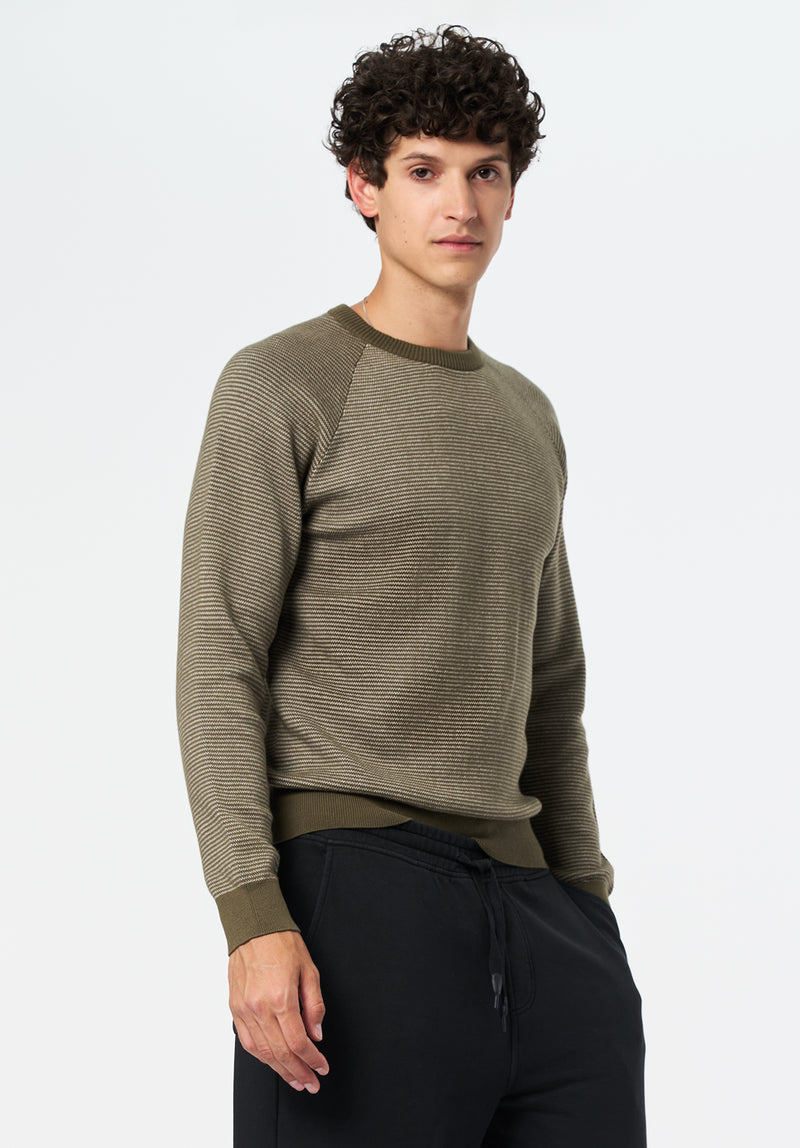 Watford Men's Crew Neck Sweater color FERN