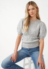 Buffalo David Bitton Lissa Light Heather Grey Women's Short Sleeve Sweater - SW0015F Color LT HR GREY