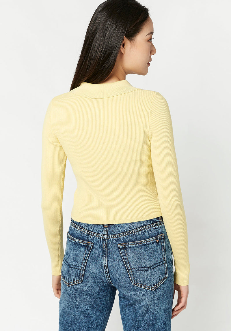 Ribbed Knit Meadow Sweater - SW0301H
